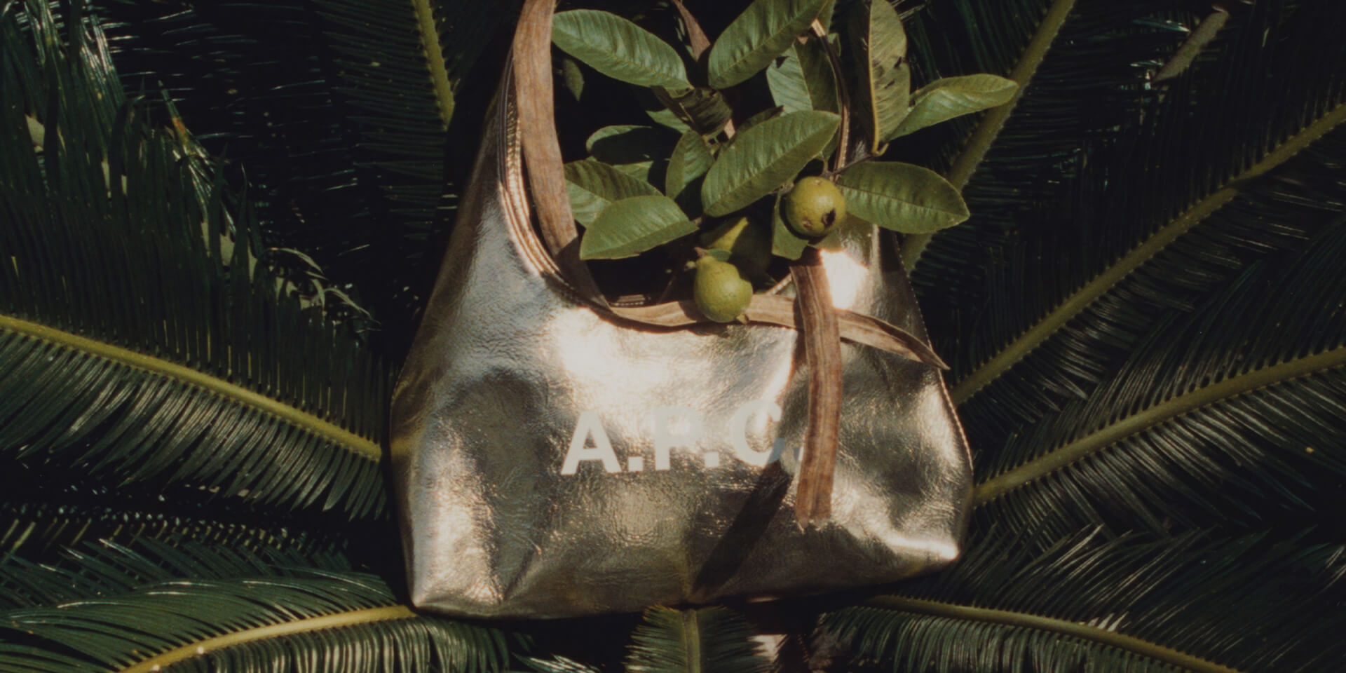 A.P.C. PRE-COLLECTION AUTOMNE / HIVER 2025 FEMME